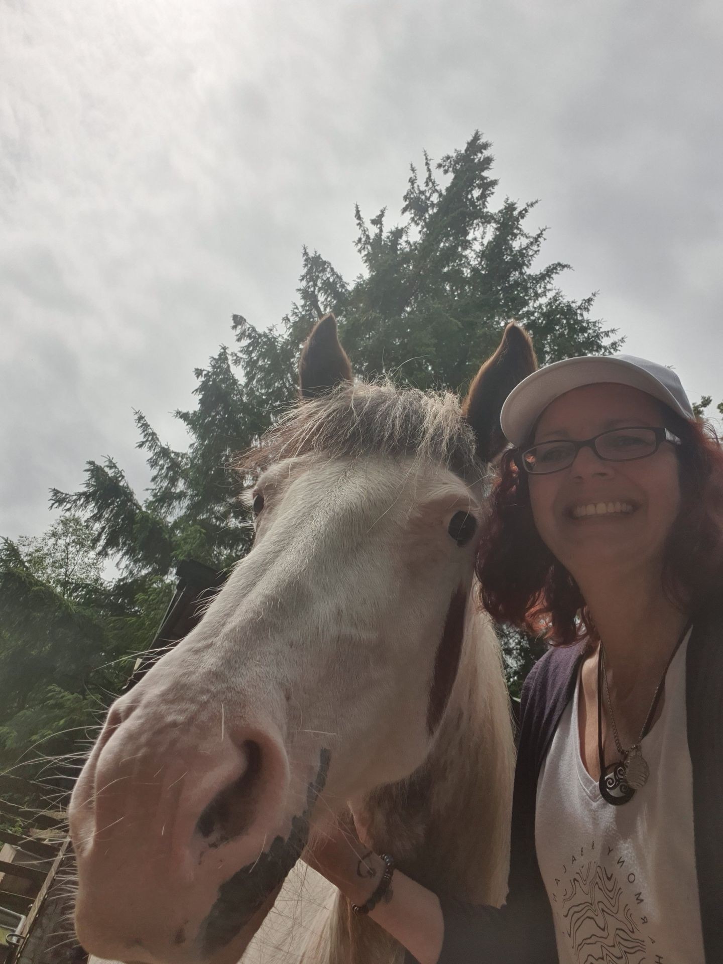 Lainey Mustang Pony tribe