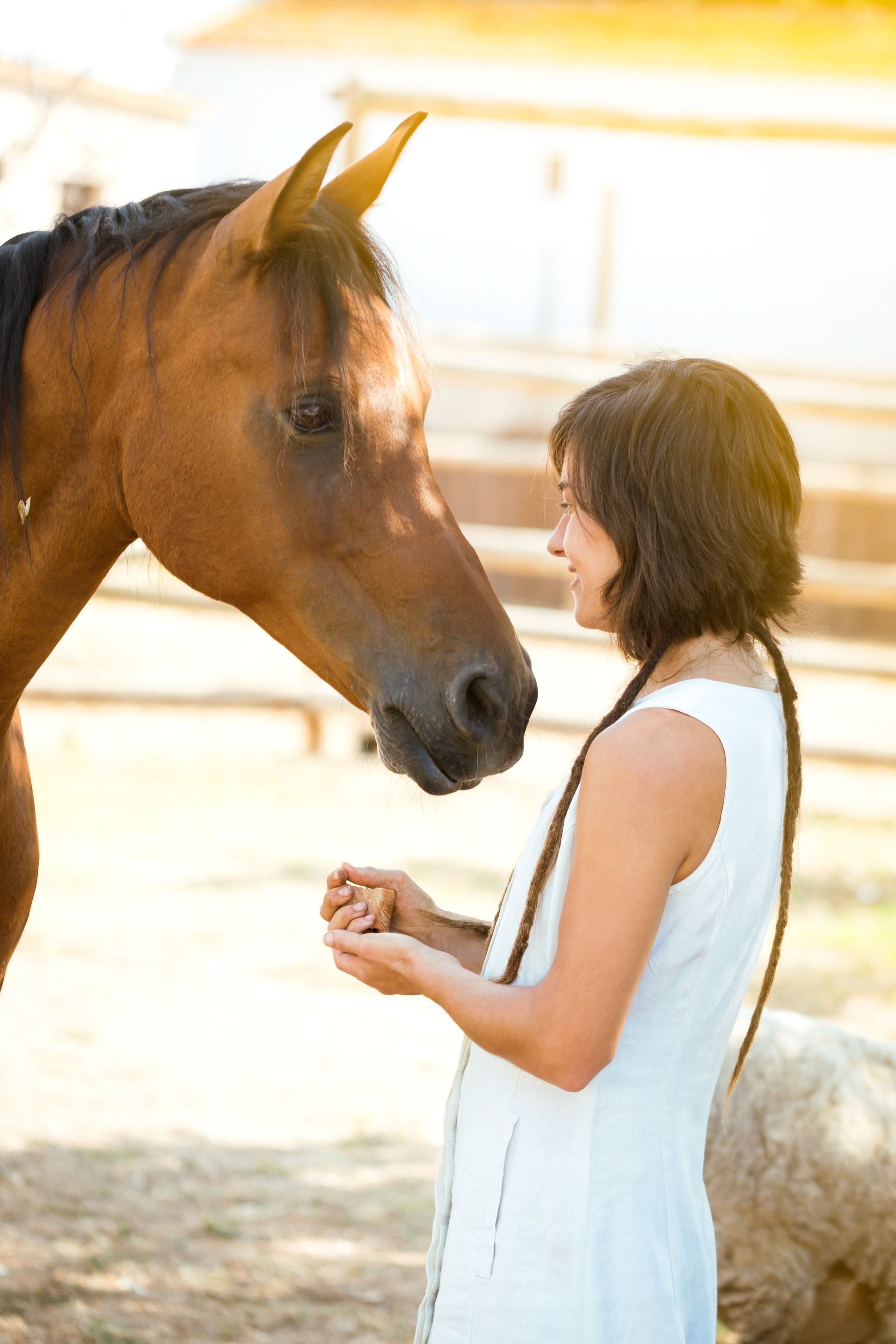 Girl with cups hands smiling at her brown horse.
