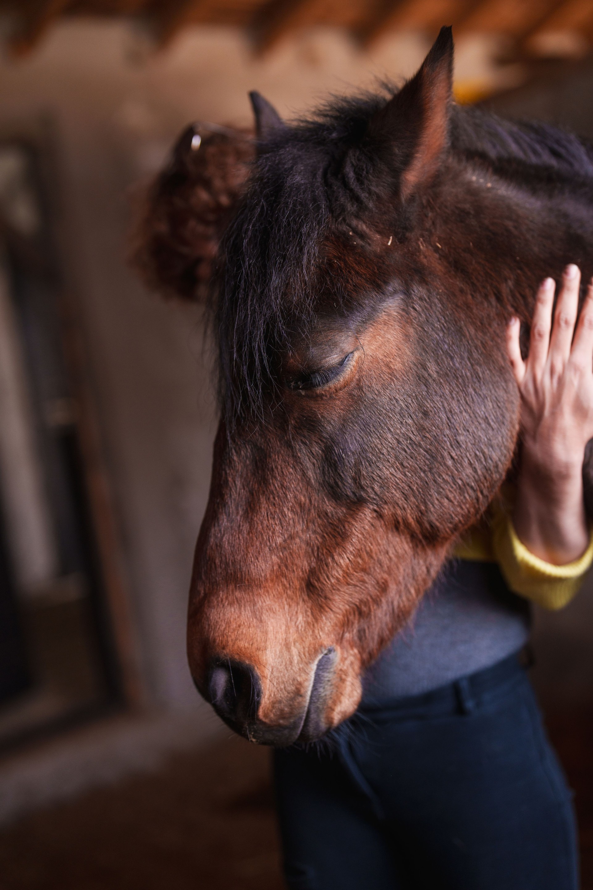 Mikayla H - Mount Rowan